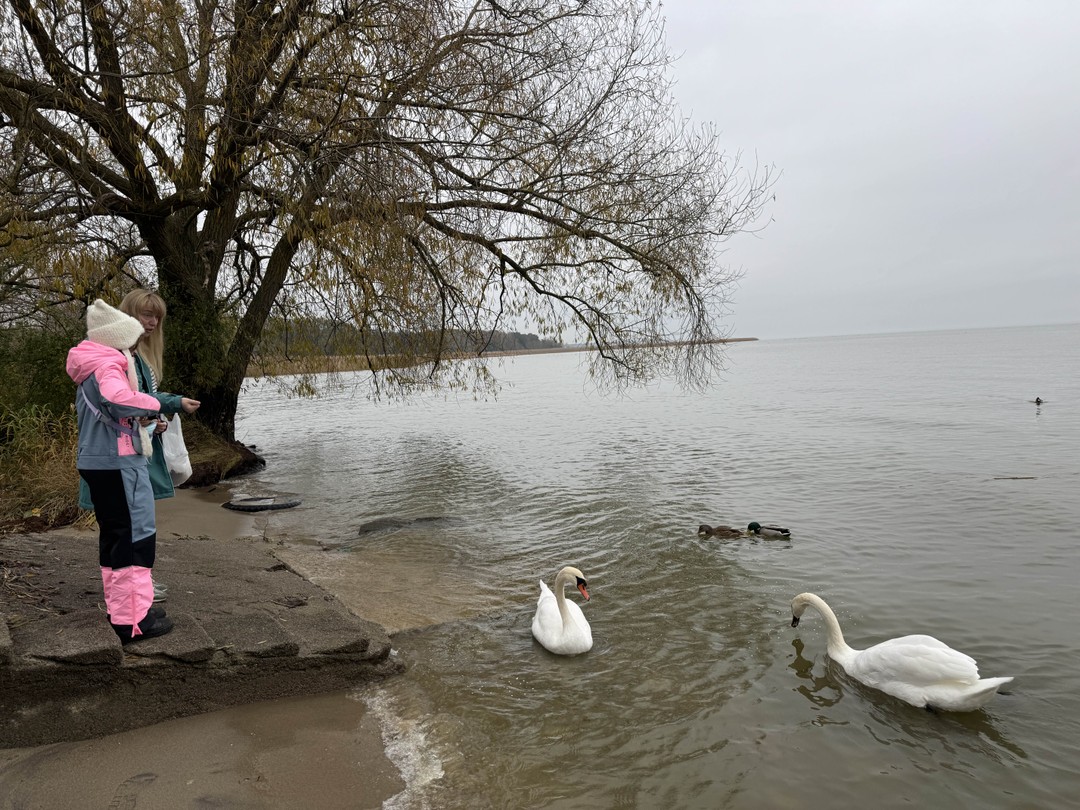 Екатерина - замечательный рассказчик и прекрасный водитель! Пять часов с ней пролетели очень быстро и увлекательно