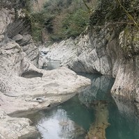 Фото отзыва 2: экскурсия "Живописные окрестности Сочи"