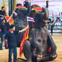 Фото отзыва 2: экскурсия "Тропический сад «Нонг Нуч»"