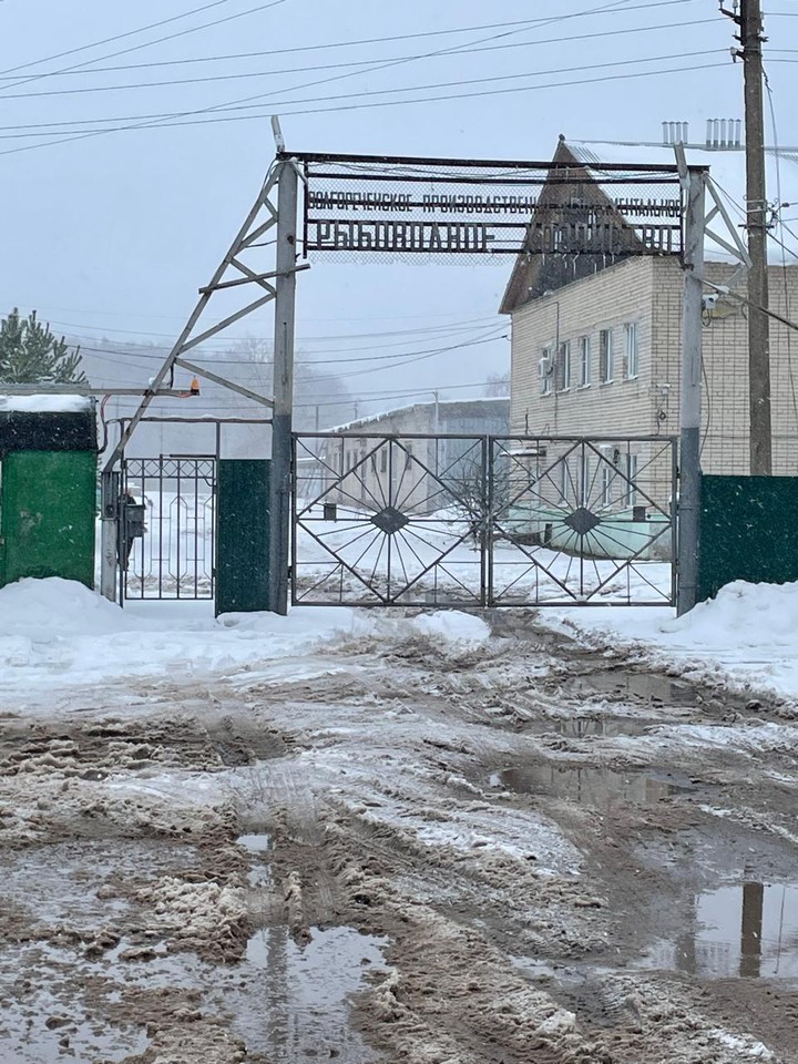 Очень интересная поездка, доставит удовольствие как детям, так и взрослым. Лоси ходят рядом с вами, очень