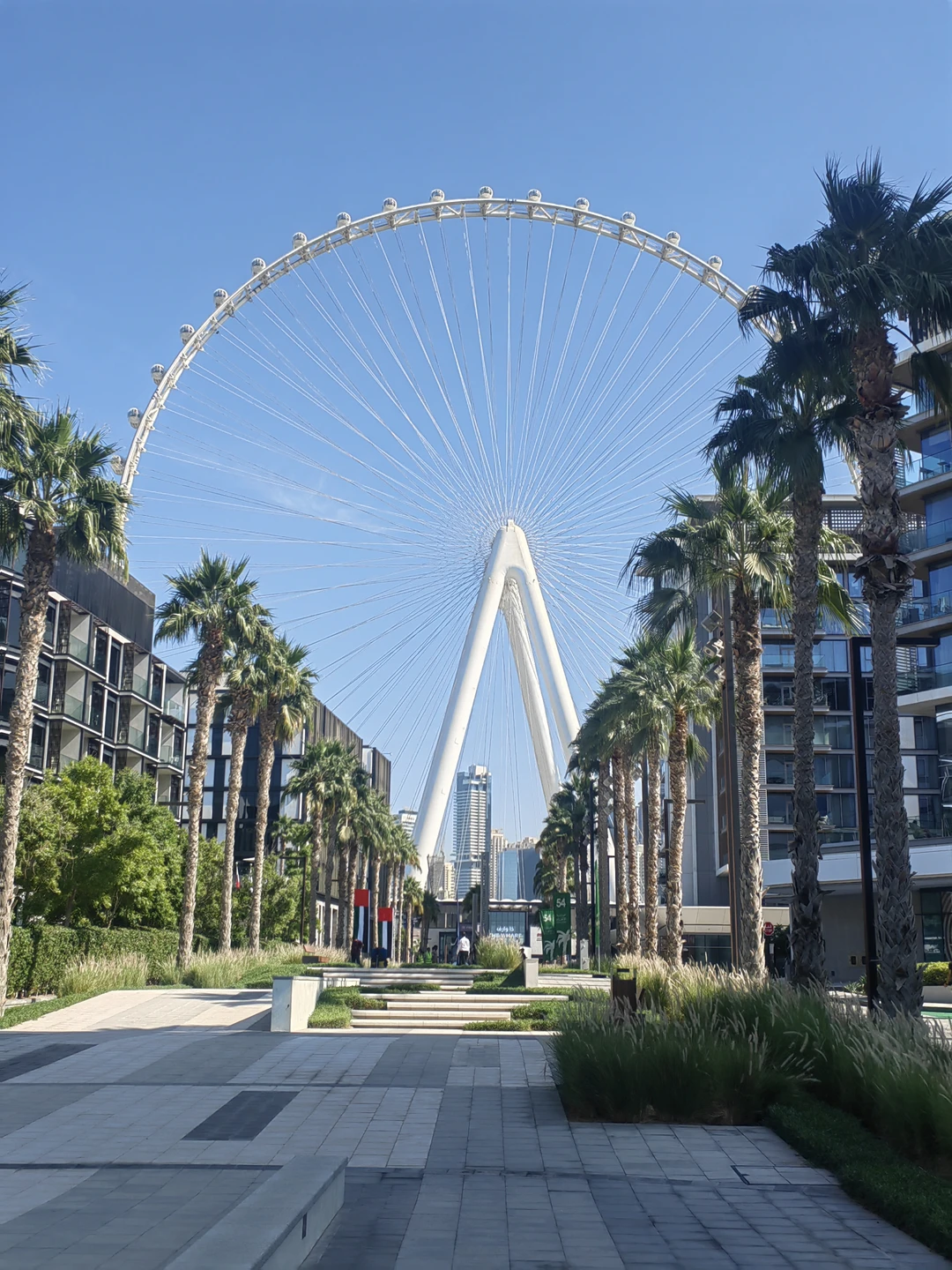 Большое спасибо гиду Амиру за прекрасную экскурсию! Амир рассказывает интересно, даёт достаточное количество информации, не перегружая