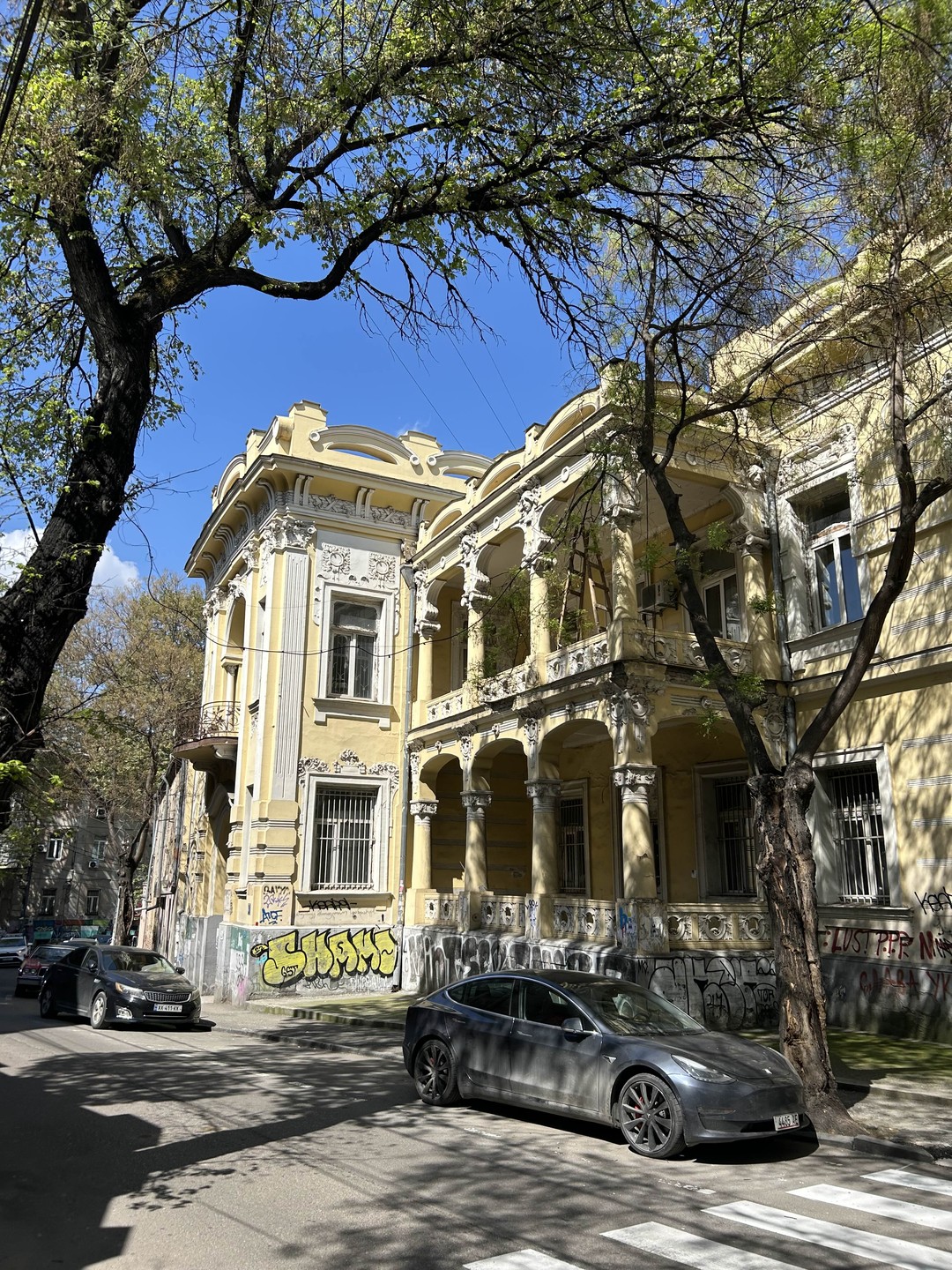 Гуляли с Медеей по Сололаки, заглядывали в парадные, бродили по улицам, слушали чудесные личные истории про