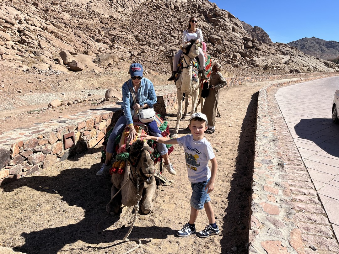 Отличная поездка для любителей природы и истории. Древняя история и культура в сочетании с удивительными марсианскими