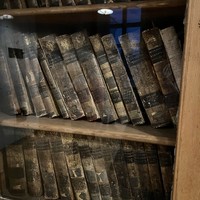 Фото отзыва 3: экскурсия "Казанский университет: от императорского до федерального"