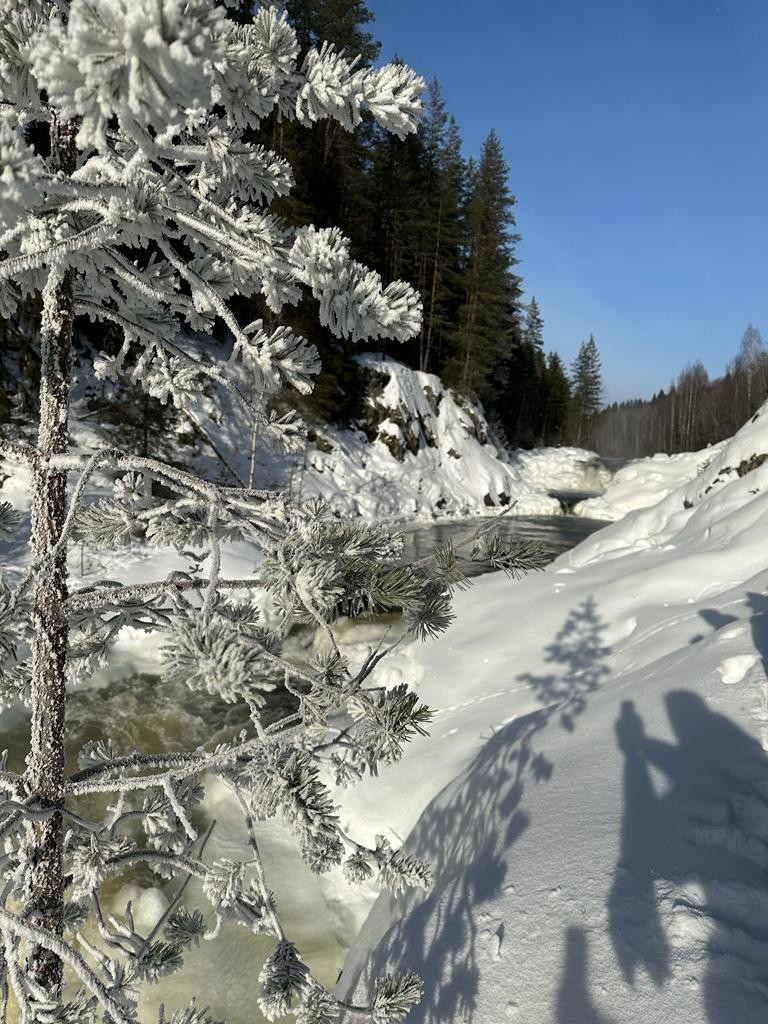 «Поет Кивач в бору сосновом»: путешествие к главному водопаду Карелии (мария)