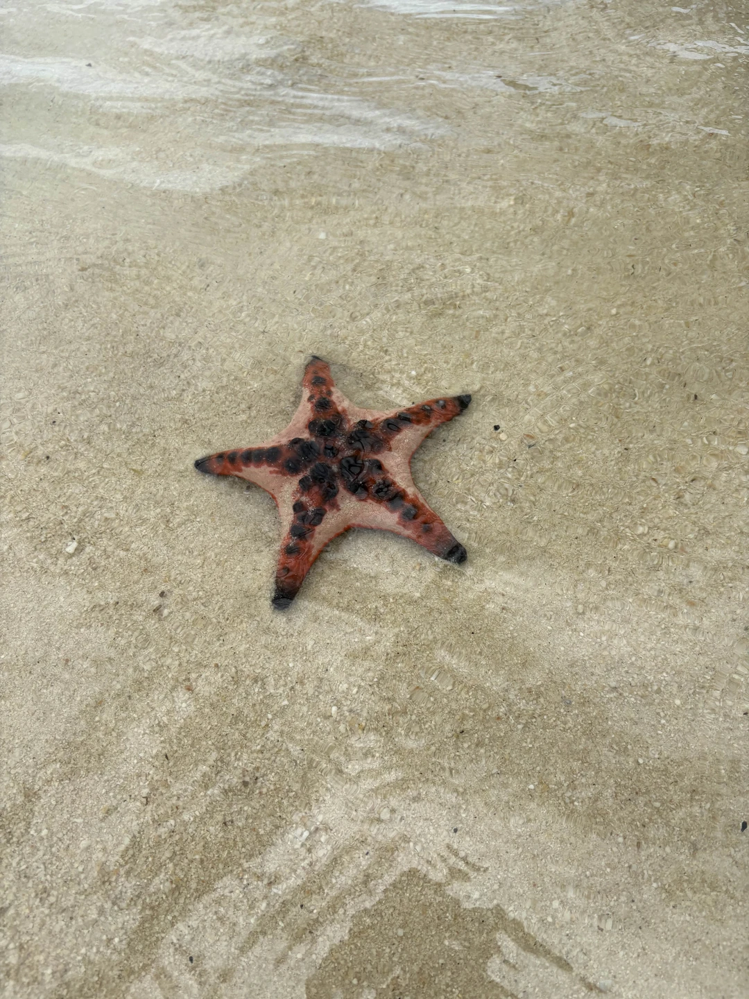 Все очень понравилось, спасибо организатору, всем рекомендуем!