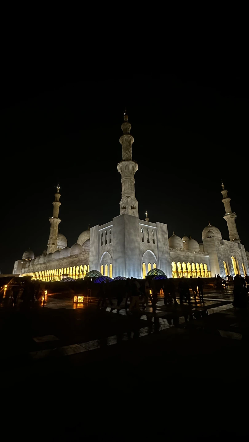 Абу-Даби в мини-группе с посещением Президентского дворца (Галина)