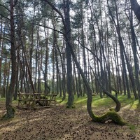 Фото отзыва 2: экскурсия "Куршская коса, замок Нессельбек, форт N3 и Зеленоградск"