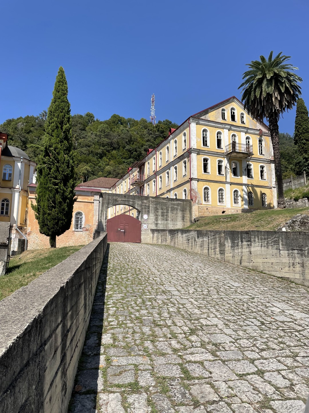 Чары Абхазии (из Сочи) (Анастасия)