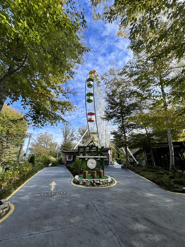 Узнать Сочи за 2 часа