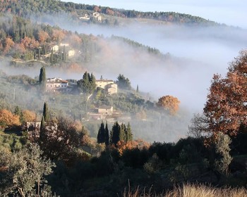 Экскурсия по винодельне с дегустацией