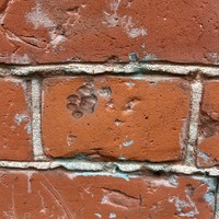 Фото отзыва 1: экскурсия "Нижний Новгород в деталях: таинственное Започаинье и «карман России»"