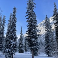 Фото отзыва 4: экскурсия "Из Бишкека — в Тянь-Шанские горы!"