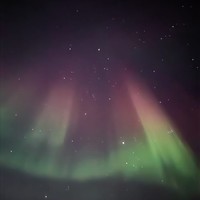 Фото отзыва 6: экскурсия "Северное сияние: курс молодого охотника"