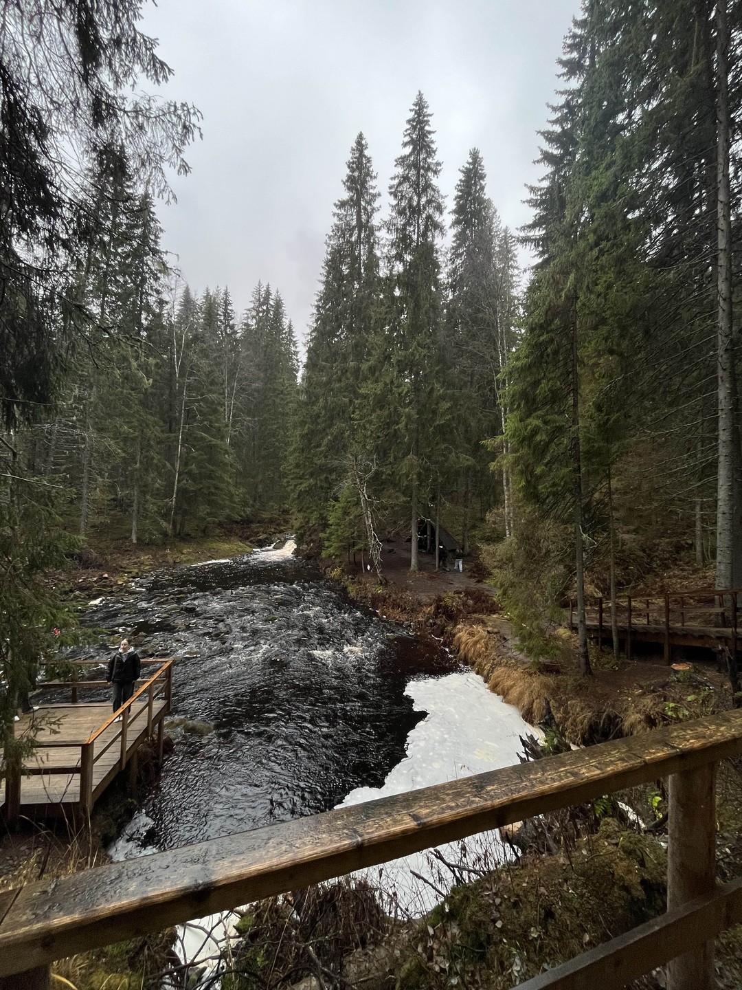 Замечательная экскурсия!