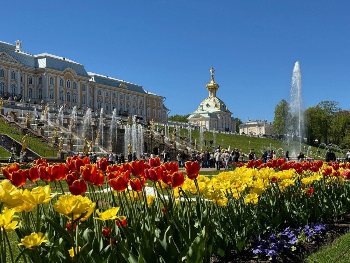 Фото к экскурсии Парк и фонтаны Петергофа (всё включено)