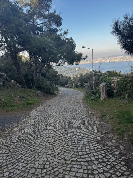 Отличный формат экскурсии для знакомства с островом Бююкада. На нем нельзя передвигаться на обычных автомобилях. Только