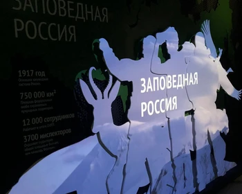 Визит-центр Кроноцкого биосферного заповедника, экскурсия по Петропавловску-Камчатскому, крабы на обед и купание в бассейнах