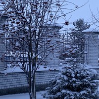 Фото отзыва 3: экскурсия "Из Архангельска — в Северодвинск (Центр атомного судостроения + остров Ягры + Заостровье)"