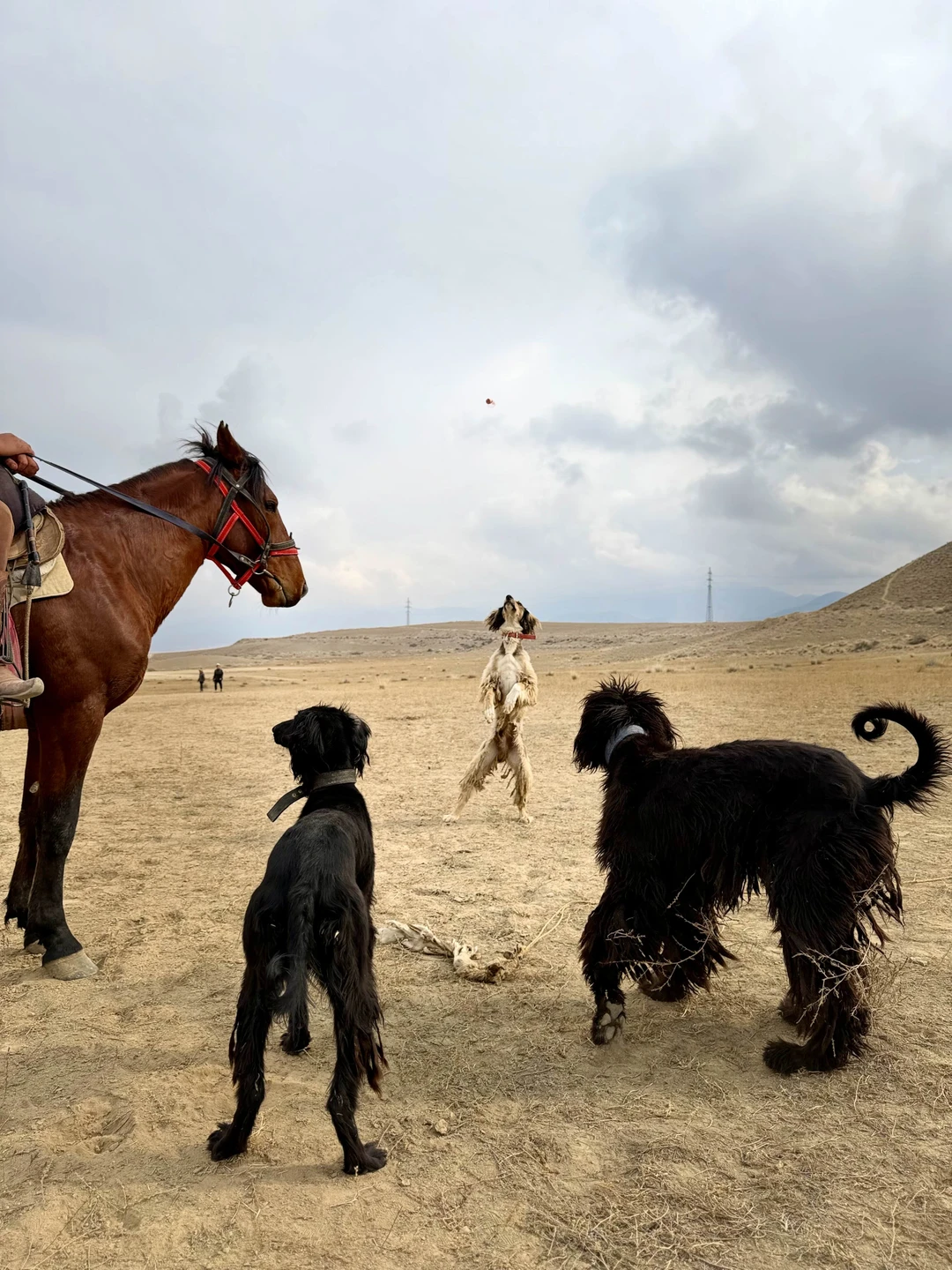 За два дня успели проехать вокруг всего Иссык-Куля. Природа Кыгызстана невероятная! Не отказывайтесь от посещения музея