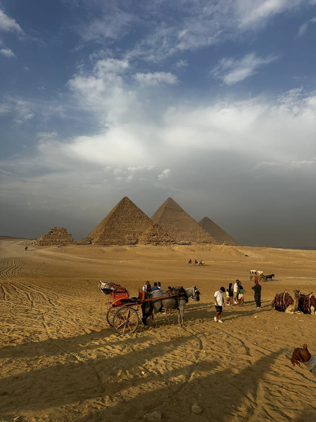 Наш день в Каире с гидом Аззой стал настоящим украшением всей поездки в Египет! Это не