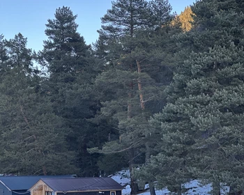 Фото отзыва 1: авторский тур "Всё включено в Архызе: тур в мини-группе с прогулками верхом и на квадроциклах"