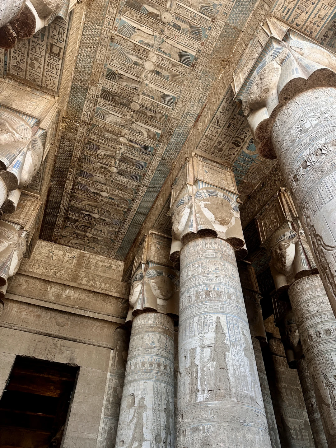 Отличная организация экскурсии в Луксор и Дендеру. Всё прошло интересно и без накладок. Гид Таха настоящий