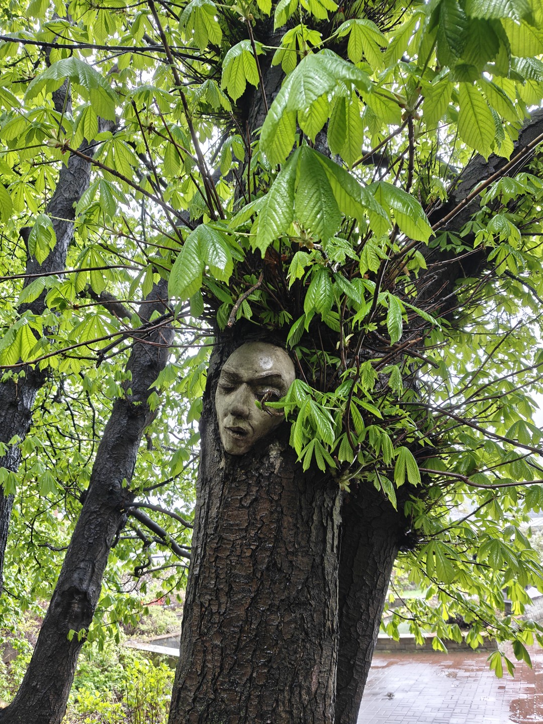 Ивановская горка: старинные дома, дворы и модные кафе (Татьяна)