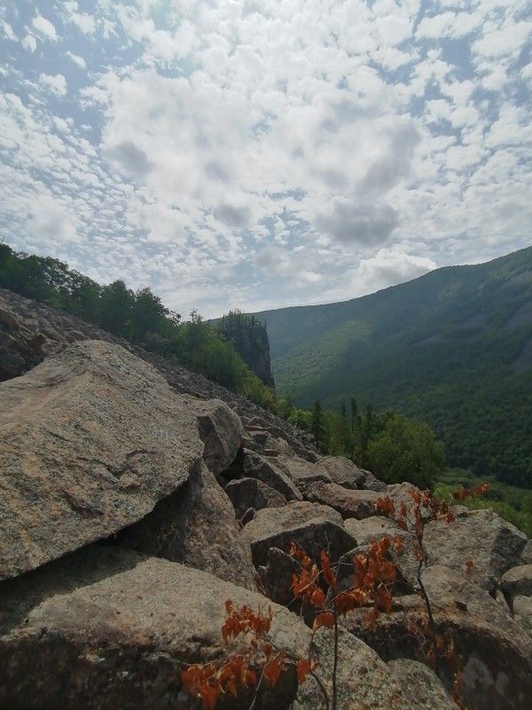 Виды Бухты Стеклянная и Шамора, ущелье Дарданеллы и сафари-парк за 1 день