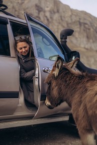 Фото отзыва 2: экскурсия "Горы, каньоны и ущелья Северной Осетии"
