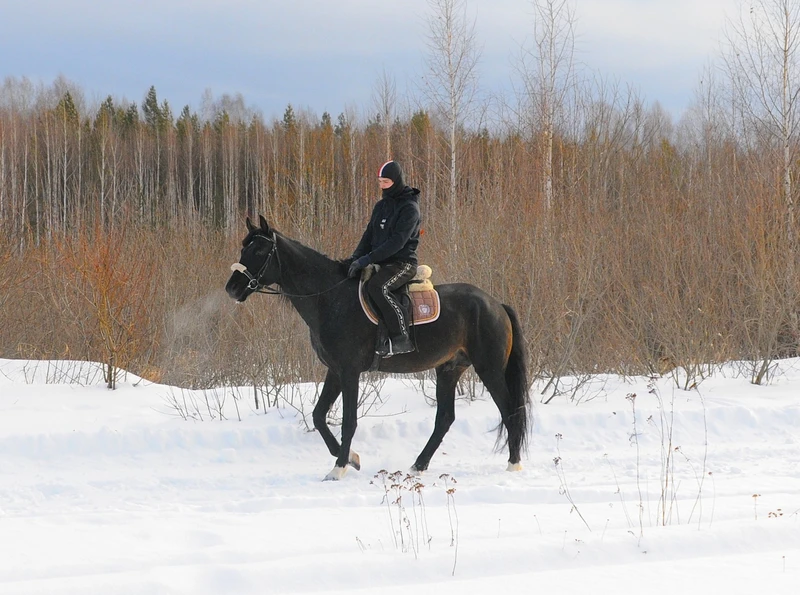 Конная прогулка по лесу близ Екатеринбурга