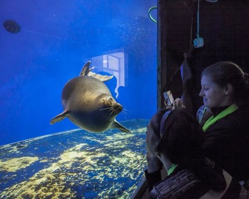Фото отзыва 1: авторский тур "Палитра летнего Байкала: к Малому Морю из Иркутска"