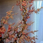 Аватар путешественника