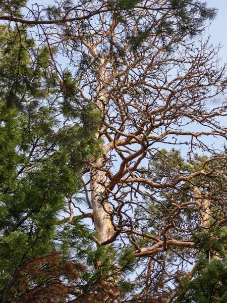 Экскурсия понравилась, ёмкая, обзорная. Надежда интересно рассказала и по теме и ответила на интересующие нас вопросы