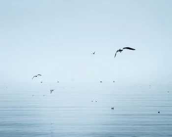 Прибытие в Хабаровск