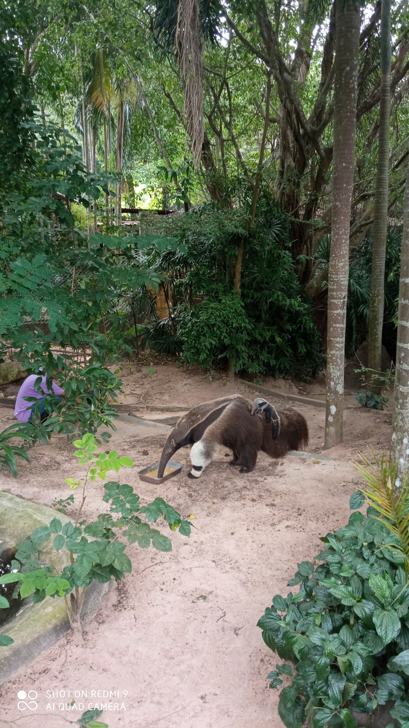 Замечательная экскурсия! Понравится и взрослым и детям. Организация на высоте! Все успели посмотреть не спеша, сделать