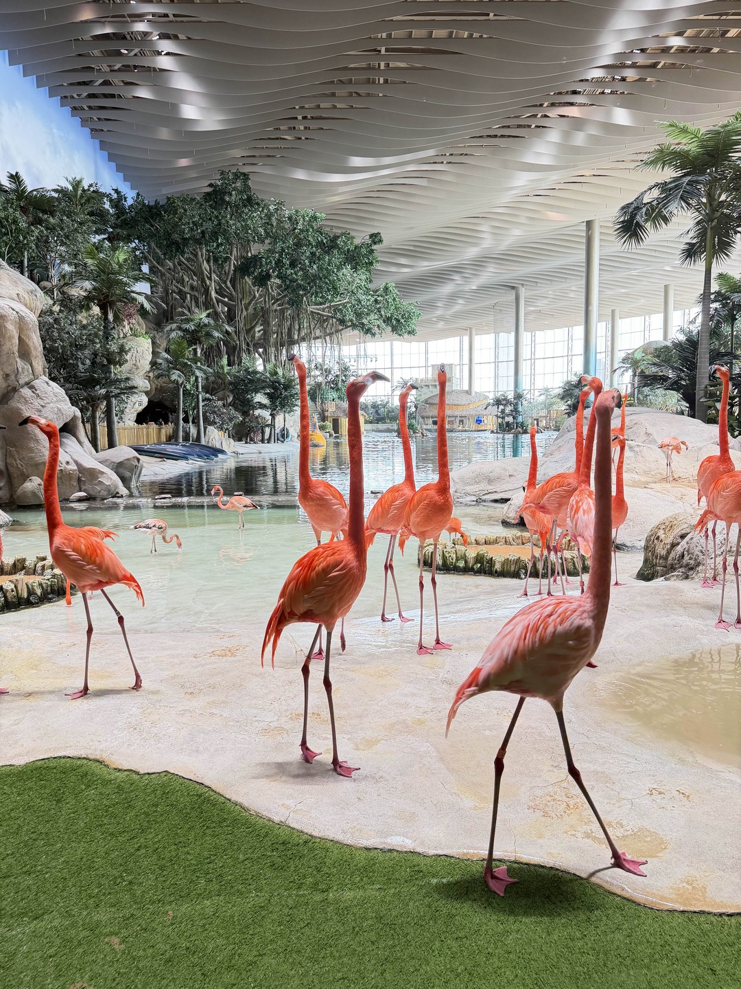 Нам понравилось, как мы провели день с Фаридом, в Абу-Даби были в первый раз, с учетом