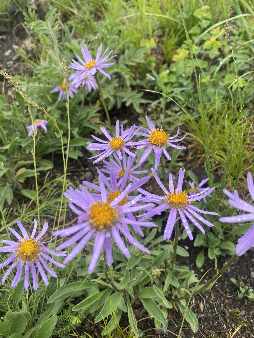 Всем привет. Была на экскурсии в свой день рождения и, поверьте, это был лучший подарок для