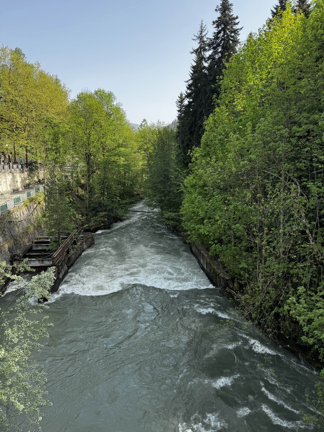 Гегский водопад и озеро Рица. Поездка из Сочи в мини-группе (Александра)