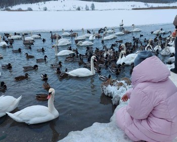 Печерская крепость и Труворово городище