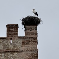 Фото отзыва 1: экскурсия "Из Мадрида — в старинный город Алькала-де-Энарес!"