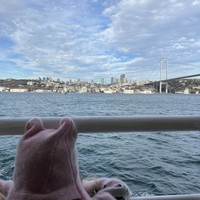 reviews img