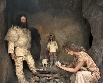 Свободный день