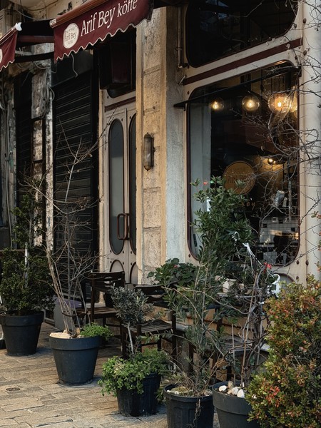 Экскурсию проводил сам Олег, очень приятный гид, к сожалению, не удалось попасть внутрь главных достопримечательностей Стамбула