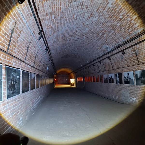 Ночная жизнь форта № 11 «Дёнхофф» (Диана)