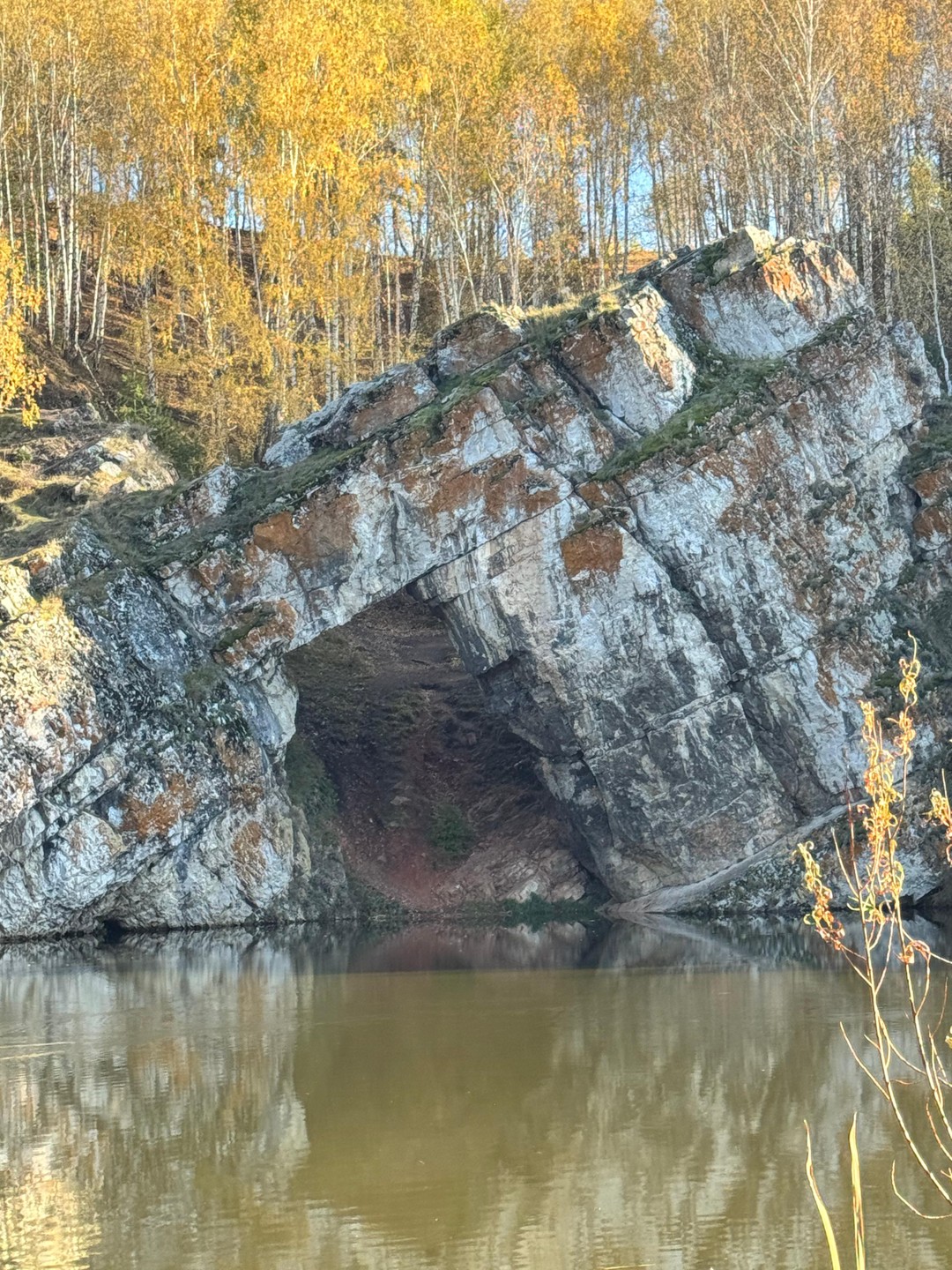 На Марс и обратно - за один день (Маргарита)
