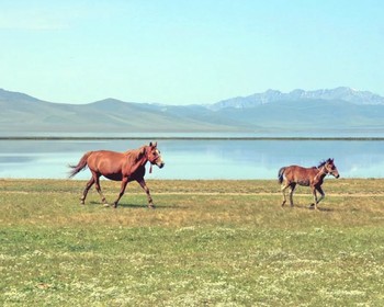 День отдыха на озере