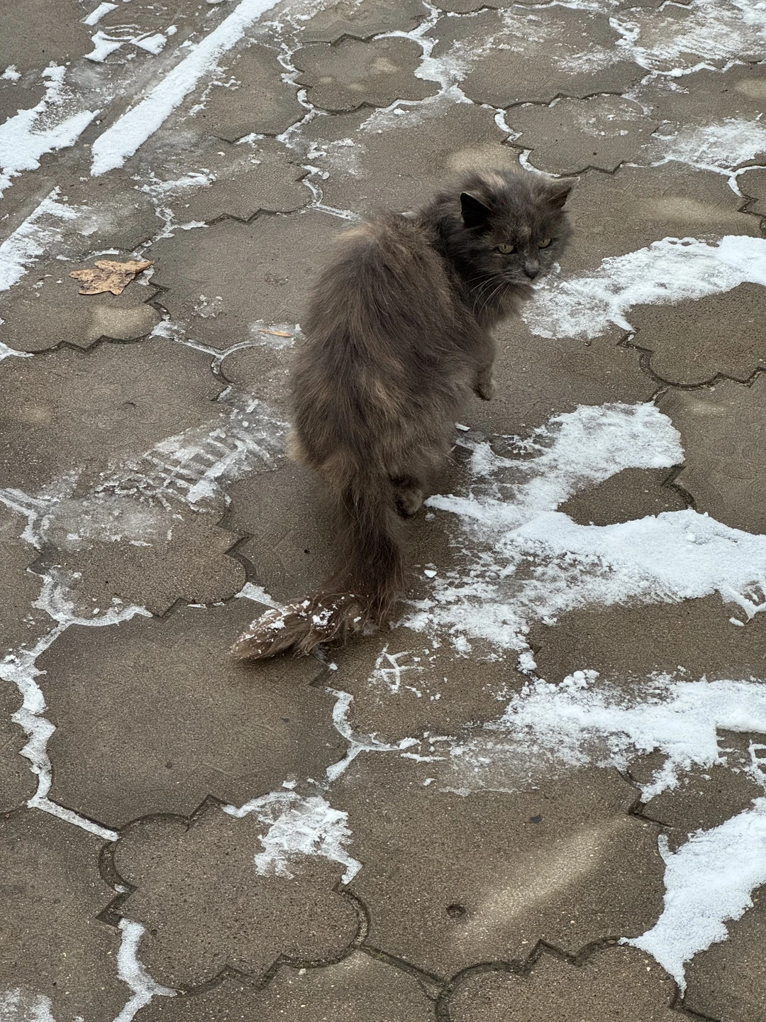 Юлия — гид мечты для Тутаева! Это не просто экскурсия, а настоящее погружение в жизнь города