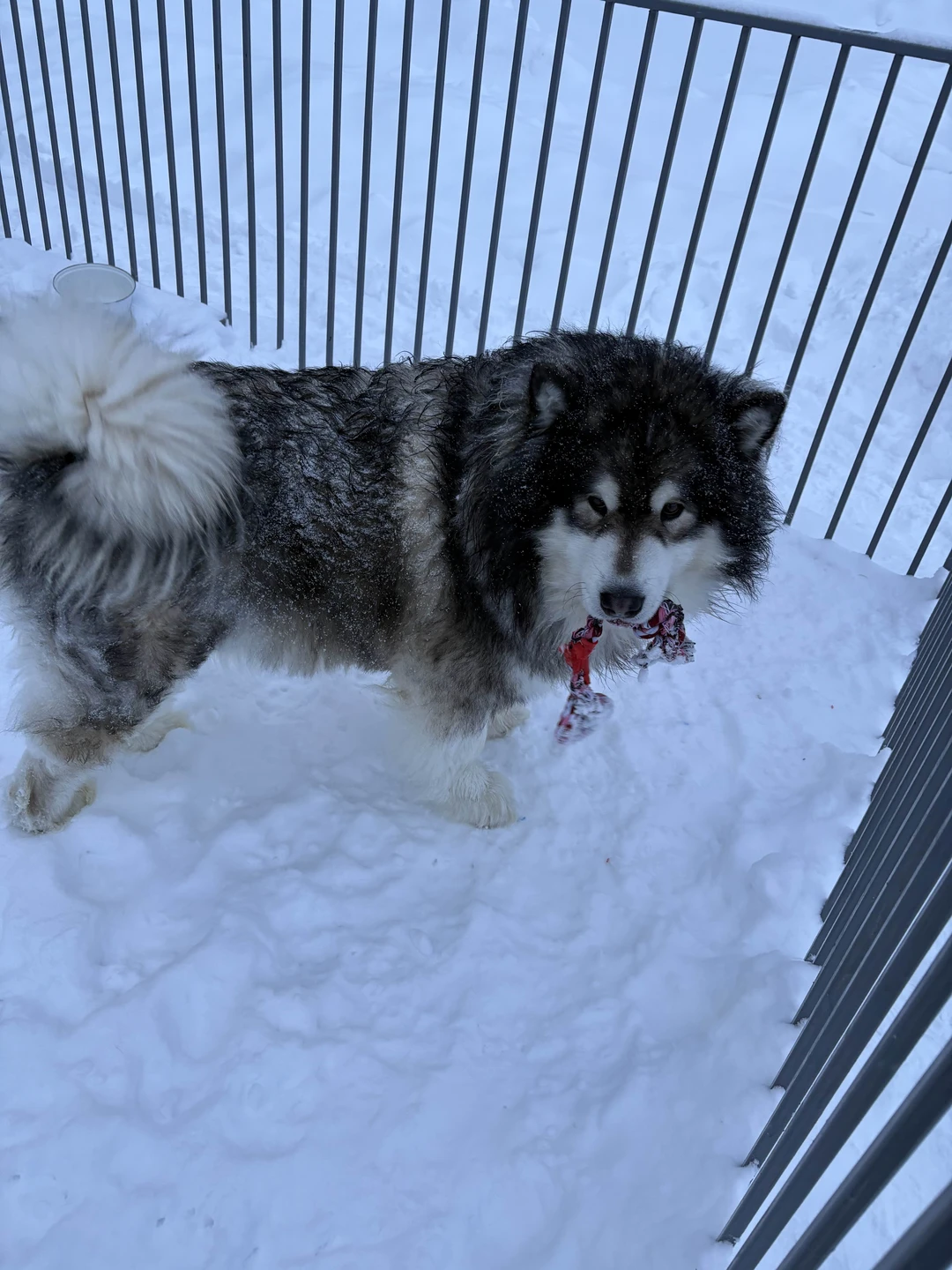Несмотря на продолжительный путь, долгую дорогу и сложные дорожные условия, экскурсия прошла прекрасно и безопасно. Гид