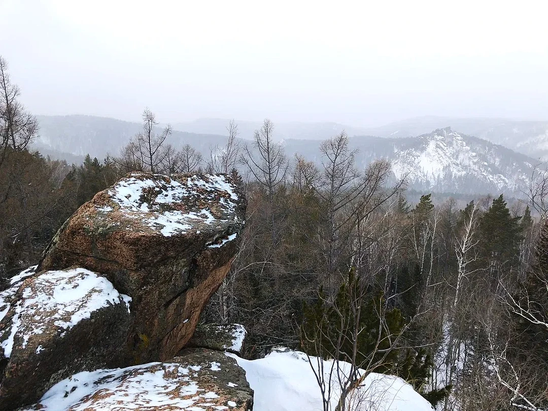 Мой день 7 января 2026г